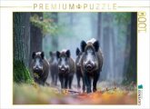 CALVENDO Puzzle Eine Rotte Wildschweine zieht durch den nebligen Wald und erscheint geheimnisvoll im diffusen Morgenlich