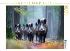 CALVENDO Puzzle Eine Rotte Wildschweine zieht durch den nebligen Wald und erscheint geheimnisvoll im diffusen Morgenlich