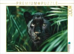 Cover CALVENDO Puzzle Schwarzer Panther, die Nacht hat Augen   2000 Teile Lege-Größe 90x67cm Foto-Puzzle für glückliche Stunde