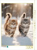 CALVENDO Puzzle Zwei Maine Coon Katzenbabys toben im Schnee und verzaubern mit ihrem neugierigen Blick.   2000 Teile Leg
