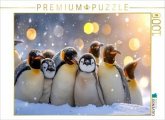 CALVENDO Puzzle Brütende Kaiserpinguine, eng aneinandergeschmiegt im antarktischen Schnee 1000 Teile Lege-Größe 64x48c CALVENDO Puzzle Brütende Kaiserpinguine, eng aneinandergeschmiegt im antarktischen Schnee 1000 Teile Lege-Größe 64x48c