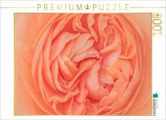 CALVENDO Puzzle Rosenblüte im Morgentau   1000 Teile Lege-Größe 64x48cm Foto-Puzzle für glückliche Stunden