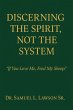 Discerning The Spirit, Not the System... - Bild 1