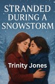 Stranded During a Snowstorm (Love in the Big Apple, #19) (eBook, ePUB)