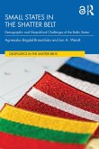 Small States in the Shatter Belt (eBook, PDF)