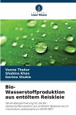 Bio-Wasserstoffproduktion aus entöltem Reiskleie Bio-Wasserstoffproduktion aus entöltem Reiskleie