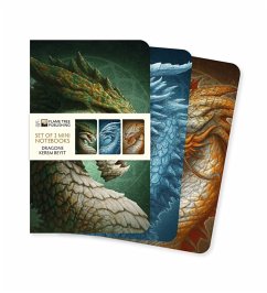 Cover Dragons by Kerem Beyit Set of 3 Mini Notebooks