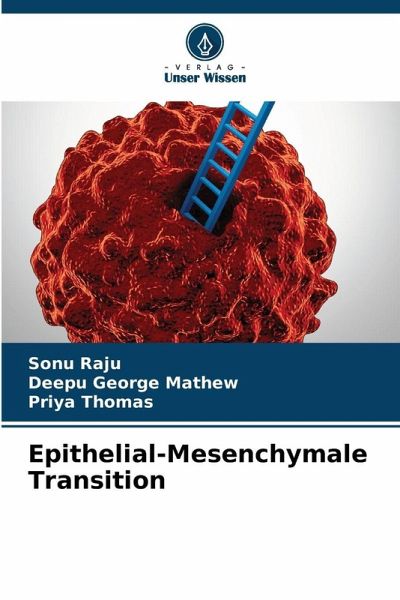 Epithelial-Mesenchymale Transition Epithelial-Mesenchymale Transition