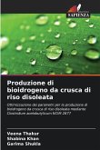 Produzione di bioidrogeno da crusca di riso disoleata