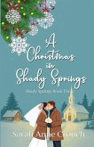 A Christmas in Shady Springs A Christmas in Shady Springs