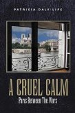 A Cruel Calm (eBook, ePUB)