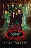 A Shard of Soul (eBook, ePUB)