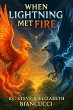 When Lightning Met Fire (eBook, ePUB) - Bild 1