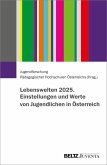 Lebenswelten 2025. Einstellungen und Werte von Jugendlichen in Österreich (eBook, PDF)