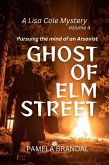 Ghost of Elm Street (A Lisa Cole Mystery, #4) (eBook, ePUB)