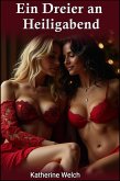 Ein Dreier an Heiligabend (eBook, ePUB)