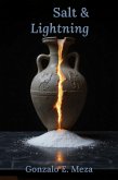 Salt & Lightning (eBook, ePUB)