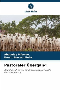 Cover Pastoraler Übergang