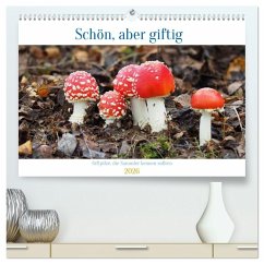 Cover Schön, aber giftig. Giftpilze, die Sammler kennen sollten. (hochwertiger Premium Wandkalender 2026 DIN A2 quer), Kunstdruck in Hochglanz