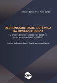 Responsabilidade sistêmica na gestão pública (eBook, ePUB)