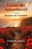 Luzes do amanhecer (eBook, ePUB)