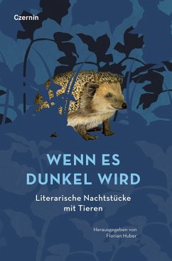 Cover Wenn es dunkel wird