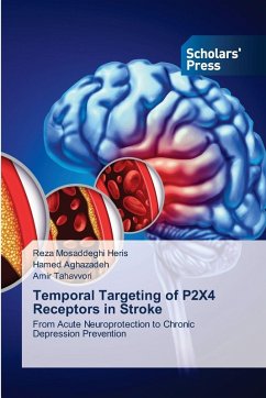 Cover Temporal Targeting of P2X4 Receptors in Stroke