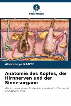 Cover Anatomie des Kopfes, der Hirnnerven und der Sinnesorgane