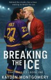 Breaking the Ice