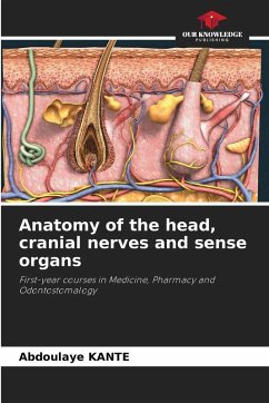 Anatomy of the head, cranial nerves and sense organs - Kanté, Abdoulaye