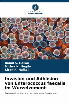 Cover Invasion und Adhäsion von Enterococcus faecalis im Wurzelzement