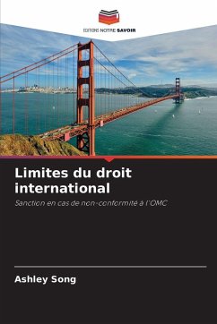 Limites du droit international - Song, Ashley