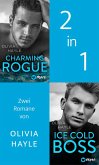 Charming Rogue & Ice Cold Boss (eBook, ePUB)
