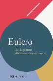 Eulero - Dai logaritmi alla meccanica razionale (eBook, ePUB)