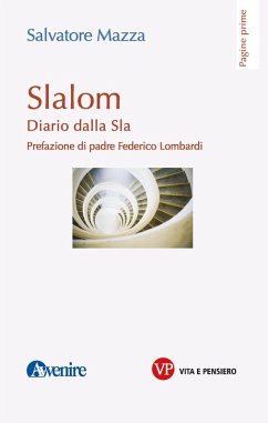 Cover Slalom (eBook, ePUB)