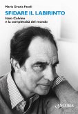 Sfidare il labirinto (eBook, ePUB)