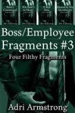 Boss/Employee Fragments #3 (Filthy Fragments, #27) (eBook, ePUB)