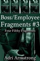 Cover Boss/Employee Fragments #3 (Filthy Fragments, #27) (eBook, ePUB)