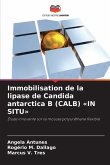 Immobilisation de la lipase de Candida antarctica B (CALB) 'IN SITU'