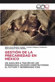 GESTIÓN DE LA PRECARIEDAD EN MÉXICO