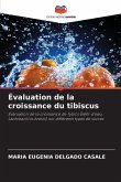 Évaluation de la croissance du tibiscus