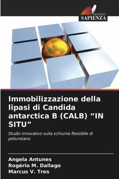 Immobilizzazione della lipasi di Candida antarctica B (CALB) 
