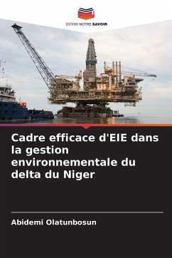 Cover Cadre efficace d'EIE dans la gestion environnementale du delta du Niger