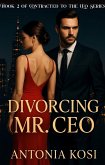 Divorcing Mr CEO (eBook, ePUB)
