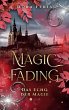 Magic Fading (eBook, ePUB) - Bild 1