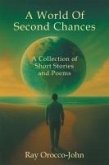 A World Of Second Chances (eBook, ePUB)