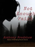 Not Enough Paint (The Hurricane Helene Series, #2) (eBook, ePUB)
