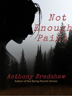Not Enough Paint (The Hurricane Helene Series, #2) (eBook, ePUB) - Bradshaw, Anthony