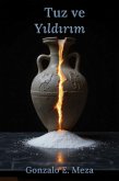 Tuz Ve Yildirim (eBook, ePUB)