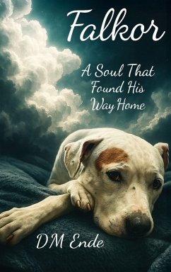 Cover Falkor A Soul That Found His Way Home